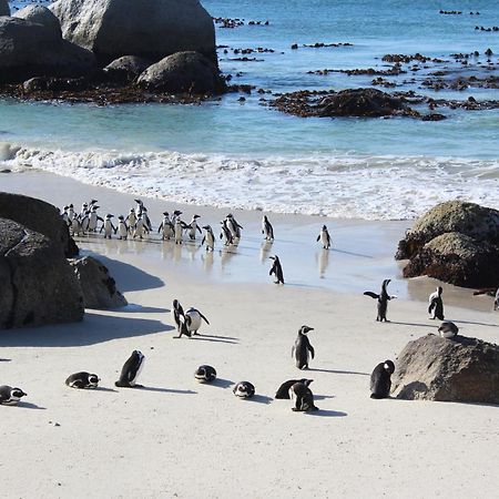 Boulders Beach House ไซมอนส์ทาวน์ ภายนอก รูปภาพ